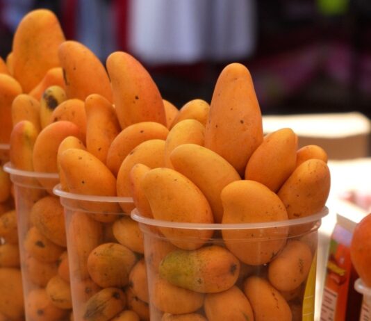 ¡Ya Llegaron!… los Mangos Manila y el “Perlita” en las Carretas del “Kilo”, Frente al Mercado Pino Suárez