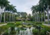 Gobierno estatal refuerza acciones para mejorar el Jardín Botánico y el Parque Ecológico de Culiacán