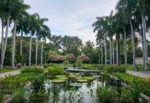 Gobierno estatal refuerza acciones para mejorar el Jardín Botánico y el Parque Ecológico de Culiacán