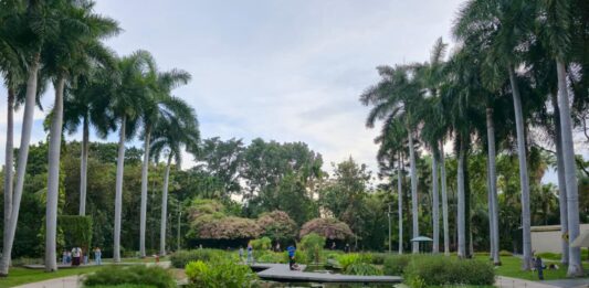 Gobierno estatal refuerza acciones para mejorar el Jardín Botánico y el Parque Ecológico de Culiacán