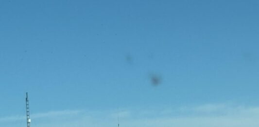 MARIO ZAMORA EXIGE RESCATE AL CAMPO SINALOENSE; EL GOBIERNO FEDERAL ADEUDA 400 MDP A PRODUCTORES