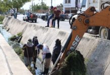 Supervisa Estrella Palacios limpieza y desazolve de canales en Infonavit Alarcón