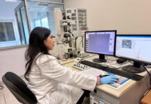 ¡Resistencia y ecología! Investigadora de la UAS impulsa el desarrollo de cementos híbridos de baja huella de carbono, a partir de residuos industriales