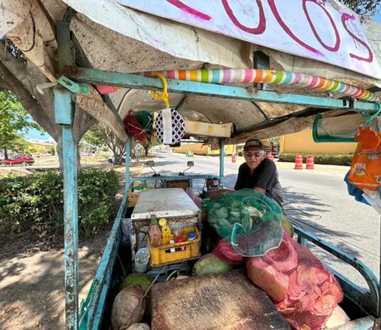 Con 30 años vendiendo cocos, Martín enfrenta bajas ventas por el tráfico