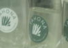 4 Jóvenes Universitarios Crean “Tahona”, un Eficaz Limpiador del Agave para las Industrias Farmacéutica y Automotriz