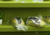 El Pan a Base de Harina de Garbanzo y Nopal Esta Siendo un Éxito en la Expo Comercio Internacional de la UAS
