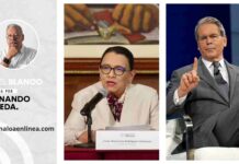 En el blanco por Fernando Zepeda H.