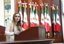 Licencias No Limpian los “Crímenes” de los Gobiernos de Morena, Coinciden las Priistas Paola Gárate y Maribel Chollet