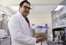Investigador transforma el desperdicio de cerveza y orujo de oliva para combatir enfermedades crónicas como obesidad, diabetes e hipertensión