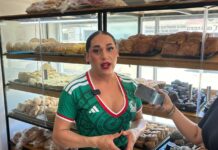 Marcha del Orgullo LGBT+ debe ser caminando, no en carros alegóricos: Fanny Lu