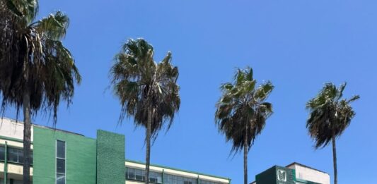Evacúan a 358 personas del IMSS de la Avenida del Mar por presunta fuga de gas