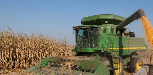 Informa Secretario de Agricultura de Sinaloa Ismael Bello Esquivel apertura de ventanillas para el apoyo a la comercialización de maíz blanco 2025-2026