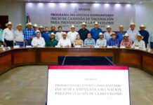 Gobernadora Yeraldine marca el inicio de la campaña de vacunación para prevenir la brucelosis bovina