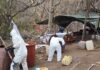 Marina desmantela un laboratorio clandestino para la elaboración de drogas sintéticas en el estado de Sinaloa