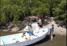 Buscan transformar Isla Basura en símbolo de recuperación ambiental