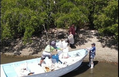 Buscan transformar Isla Basura en símbolo de recuperación ambiental