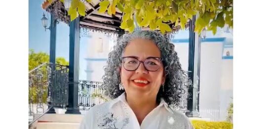 Solicita licencia Graciela Domínguez como diputada federal