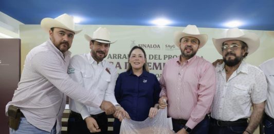 Entrega gobernadora Yeraldine semilla de sorgo a más de 3 mil 800 ganaderos de Sinaloa
