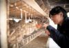 Ofrece la Facultad de Medicina Veterinaria y Zootecnia de la UAS amplia gama de servicios profesionales y de diagnóstico con alto impacto social