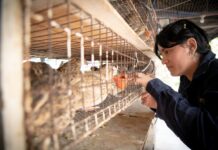 Ofrece la Facultad de Medicina Veterinaria y Zootecnia de la UAS amplia gama de servicios profesionales y de diagnóstico con alto impacto social