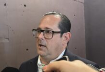 Gran Acuario Mazatlán estrenará exhibición de flamencos este verano
