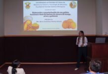 Científica de la UAS transforma la cáscara de mango en un superalimento funcional