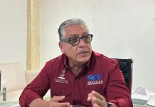 Roban huevos de un nido de tortuga marina en Mazatlán; advierten que es un delito federal