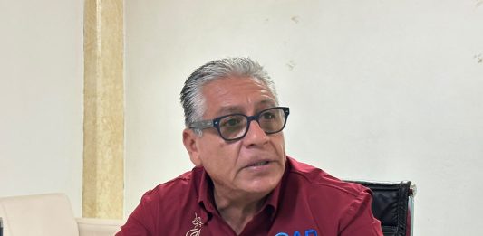 Roban huevos de un nido de tortuga marina en Mazatlán; advierten que es un delito federal