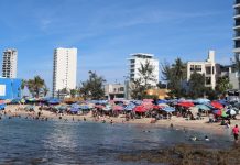 De enero a la fecha más de 2.3 millones de personas han visitado el puerto de Mazatlán
