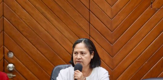 Vandalismo deja fuera de operación cámaras del C4 en avenidas estratégicas de Mazatlán