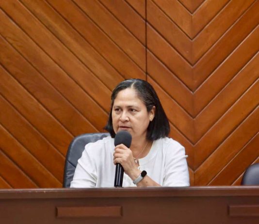 Vandalismo deja fuera de operación cámaras del C4 en avenidas estratégicas de Mazatlán