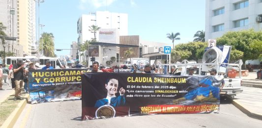 Acuacultores “Toman” de Manera Indefinida las Instalaciones de Conapesca; Exigen Cierre de Fronteras por Camarón Ilegal