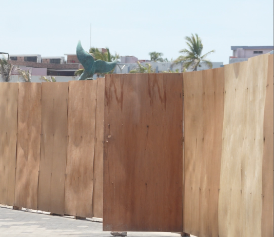 La Rehabilitación de la Vieja Carpa Olivera Va Lenta… Pero Segura