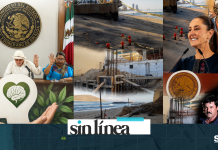 Sinaloa, Salud Mental. Sabia Naturaleza. Sheinbaum, Fracturas del Narco