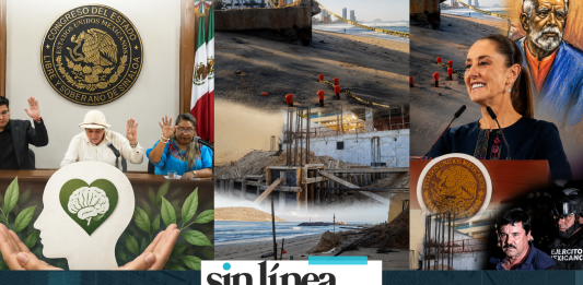Sinaloa, Salud Mental. Sabia Naturaleza. Sheinbaum, Fracturas del Narco