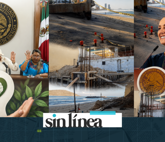 Sinaloa, Salud Mental. Sabia Naturaleza. Sheinbaum, Fracturas del Narco