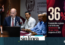 Planta de la Disputa. DEA, “Trasfondo Político”. Todo Contra el Feminicidio