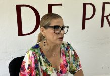 Sin gusano barrenador, pero con riesgo por rastros clandestinos en Mazatlán