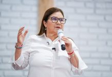 La Senadora con Licencia Imelda Castro Reconoce que la Violencia ya se Pasó al Sur del Estado