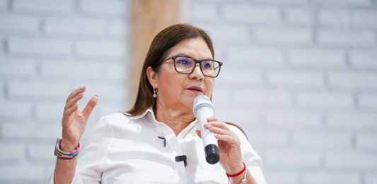 La Senadora con Licencia Imelda Castro Reconoce que la Violencia ya se Pasó al Sur del Estado